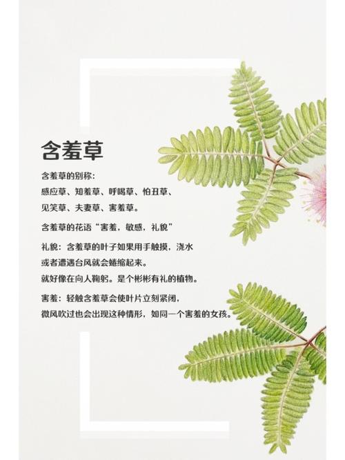 女性分泌物是黄颜色是咋回事的相关介绍