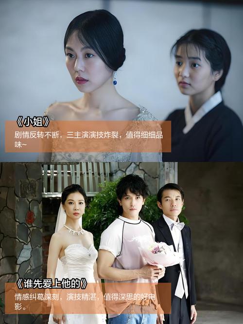 看视频免费下载的app的相关介绍
