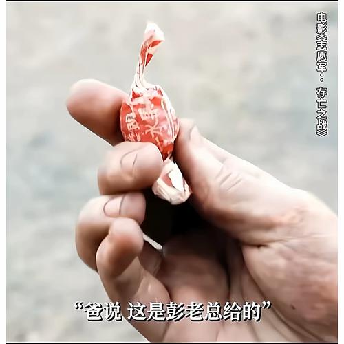 看视频免费app的相关介绍