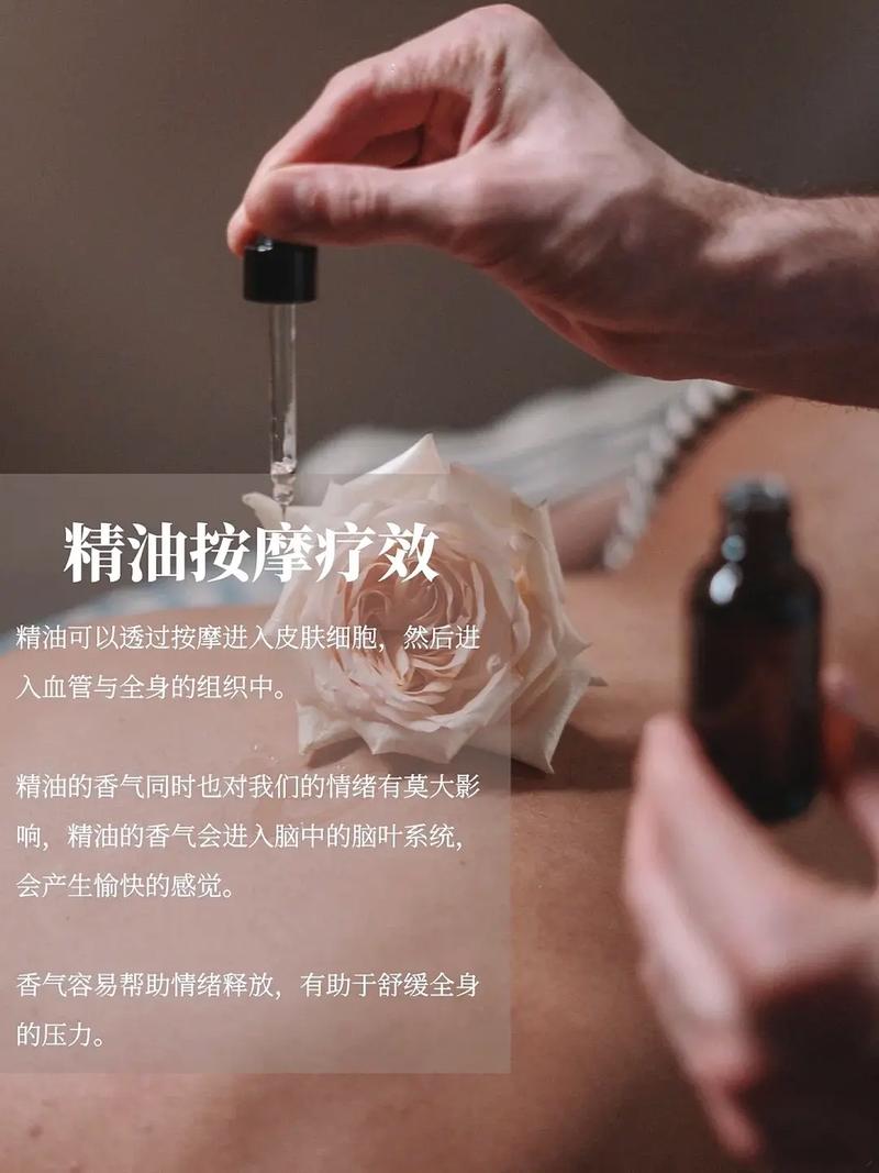 18禁黄网在线的相关介绍