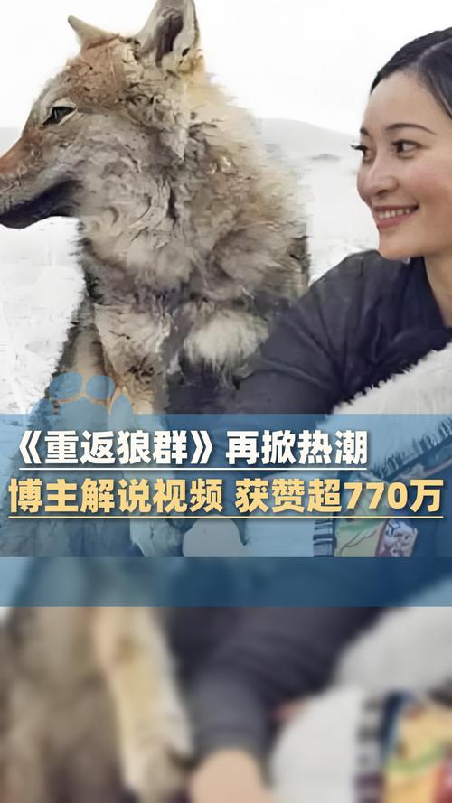 视频app怎么下载的相关介绍