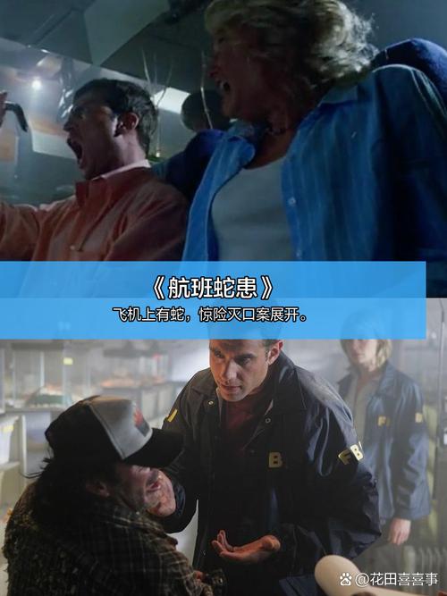 一边摸一边舔一边亲免费视频的相关介绍