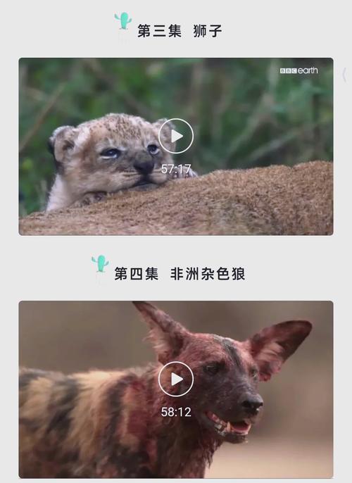 欧美男女激情大尺度的相关介绍