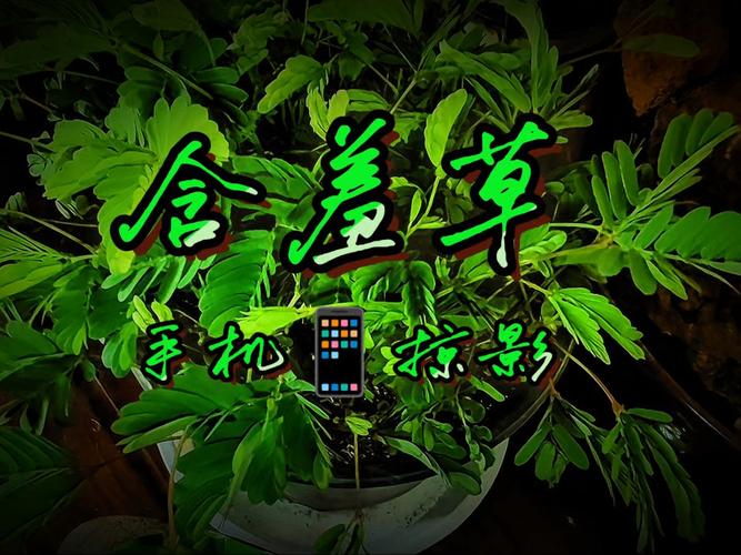 欧美日韩卡一区二区三区的相关介绍