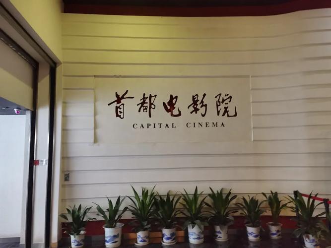 久久偷拍片久久的相关介绍