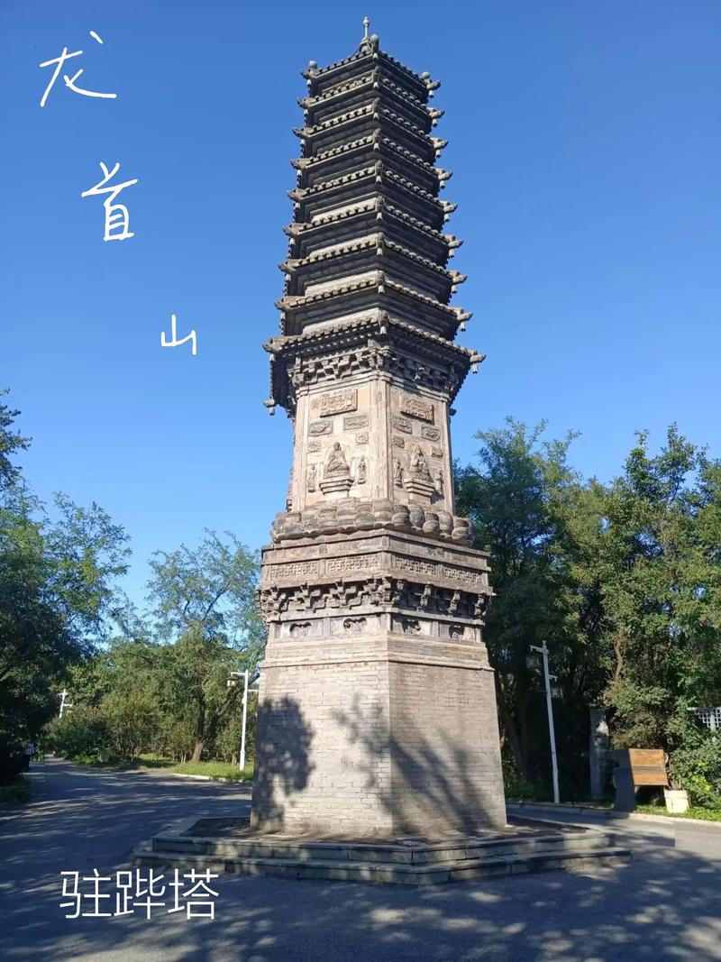 淫少妇av的相关介绍
