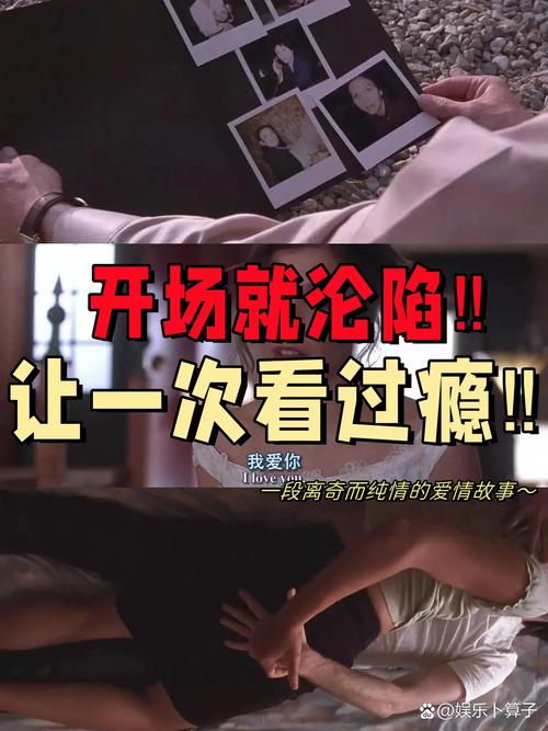 欧美久久久久久激情片的相关介绍