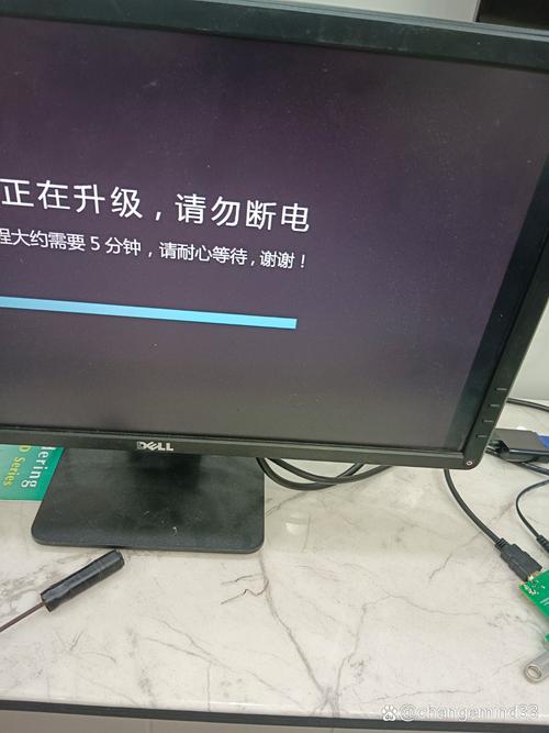 把女生操出白浆的视频的相关介绍