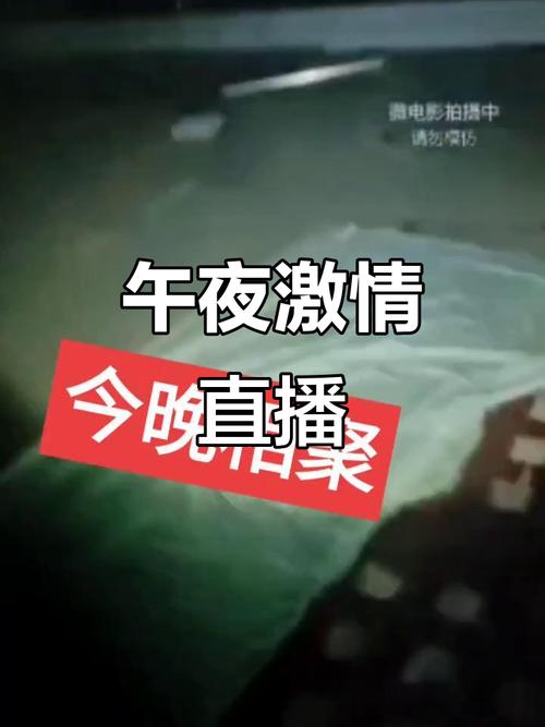 街角素人搭讪人妻中出的相关介绍