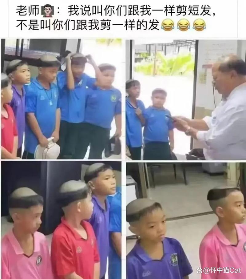 男女性动漫的相关介绍
