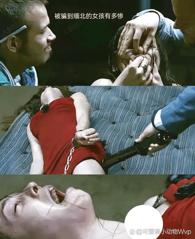 论理片久久久的相关介绍
