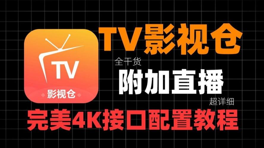 久久久这精品的相关介绍