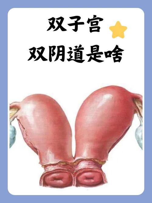 欧美小色网图片的相关介绍