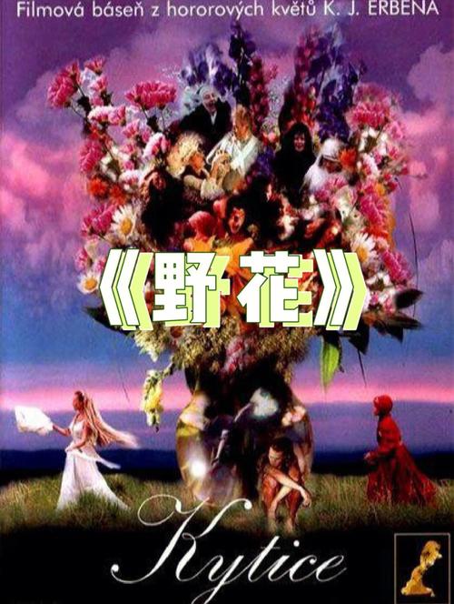 av影院的相关介绍