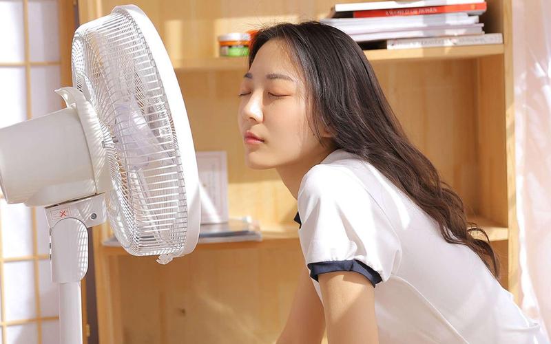 精品国产色网的相关介绍