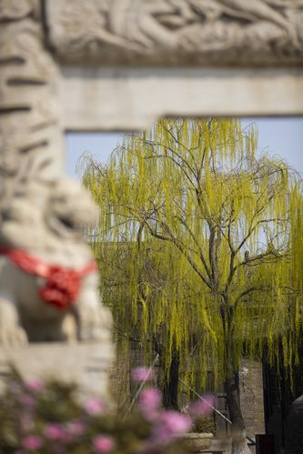 人妻va羞涩精品一区二区的相关介绍