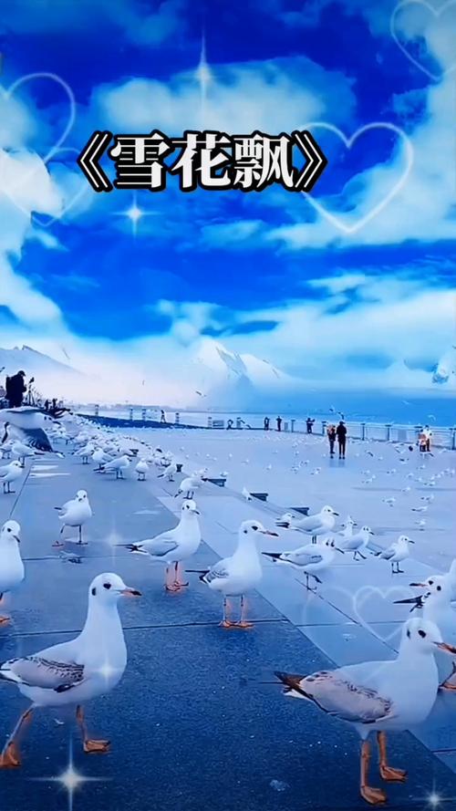 极品影院的相关介绍