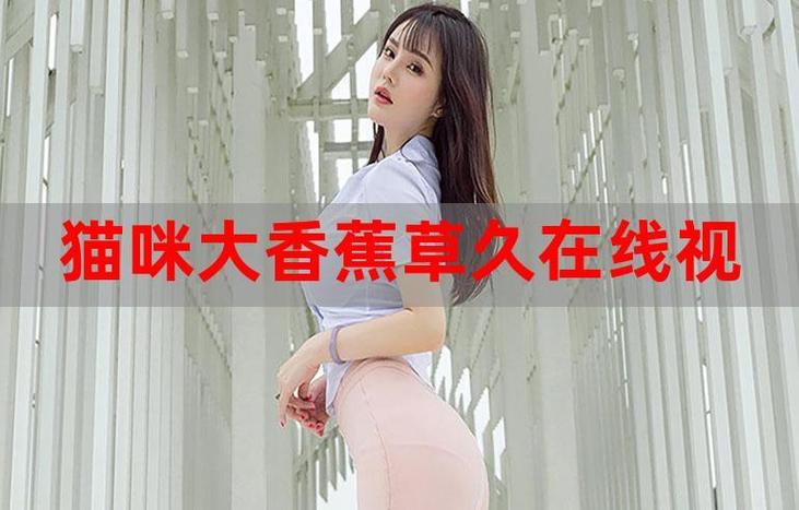 少妇 人妻 久久的相关介绍