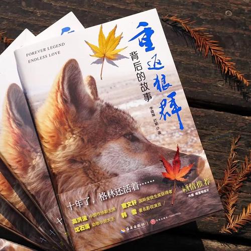久久精品欧美69色图的相关介绍