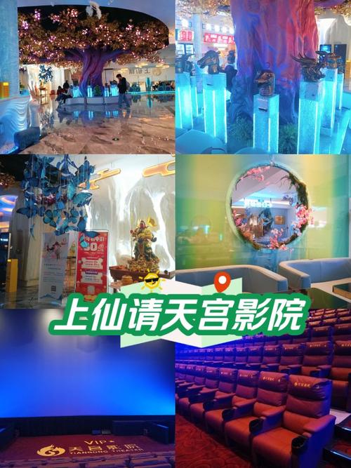 99 久久久精品的相关介绍