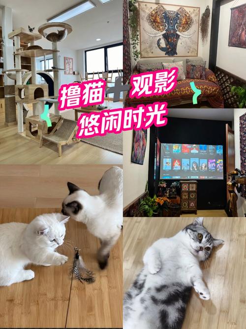 我和邻居奶奶的性事的相关介绍