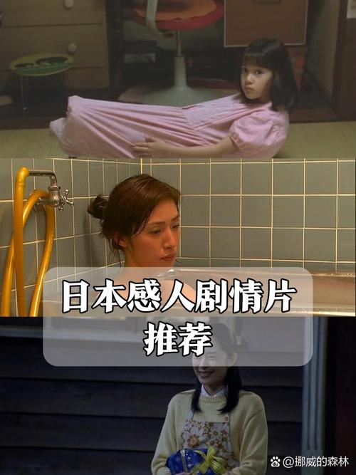 欧美h的相关介绍