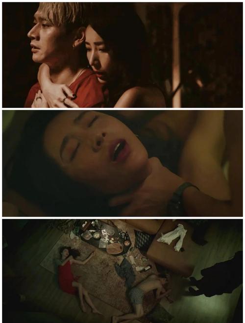 久久午夜激情片的相关介绍