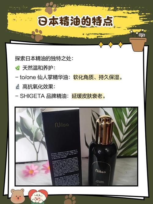 动漫美女干逼的相关介绍