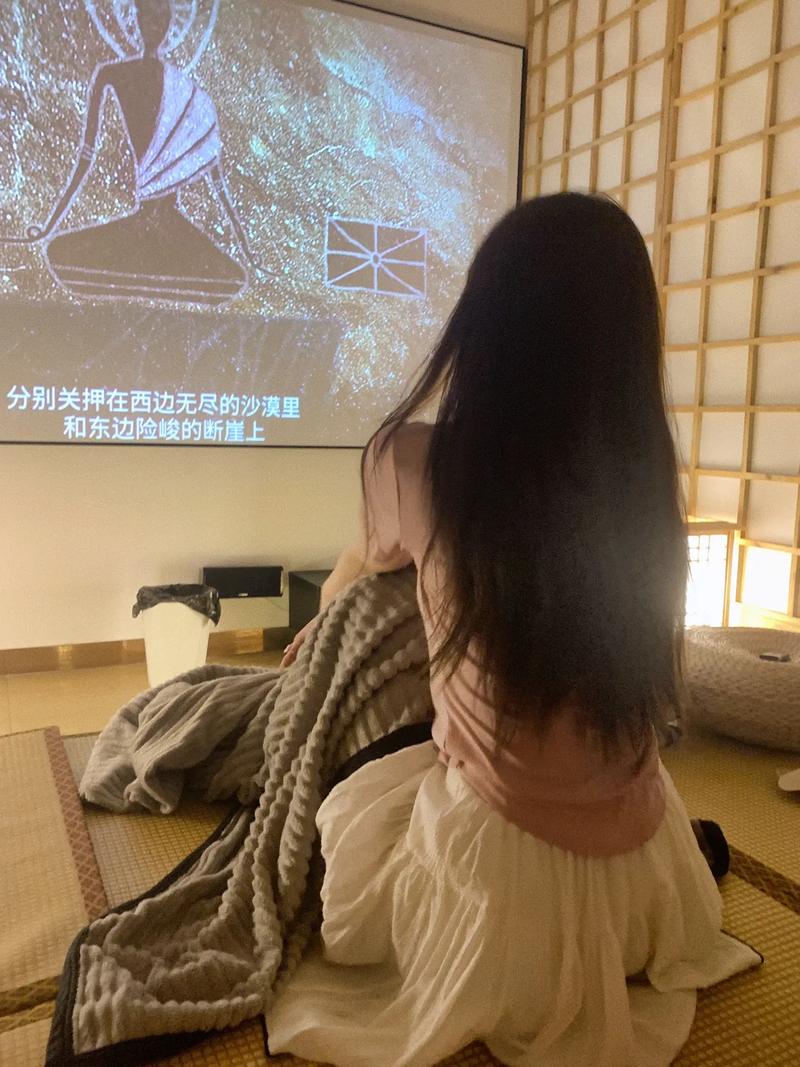 成人在线欧美日韩的相关介绍