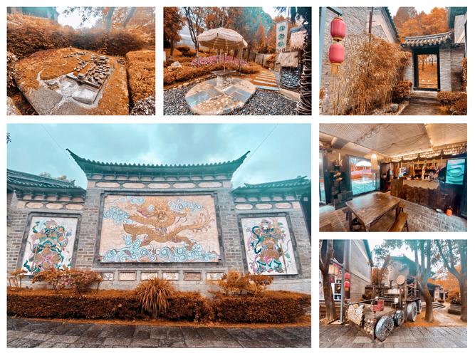操老师的逼的相关介绍