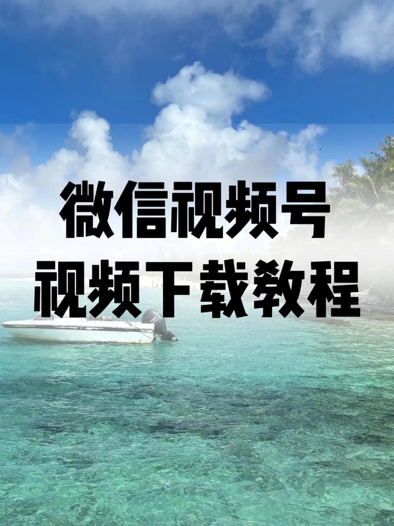 欧美人妻a v在线的相关介绍