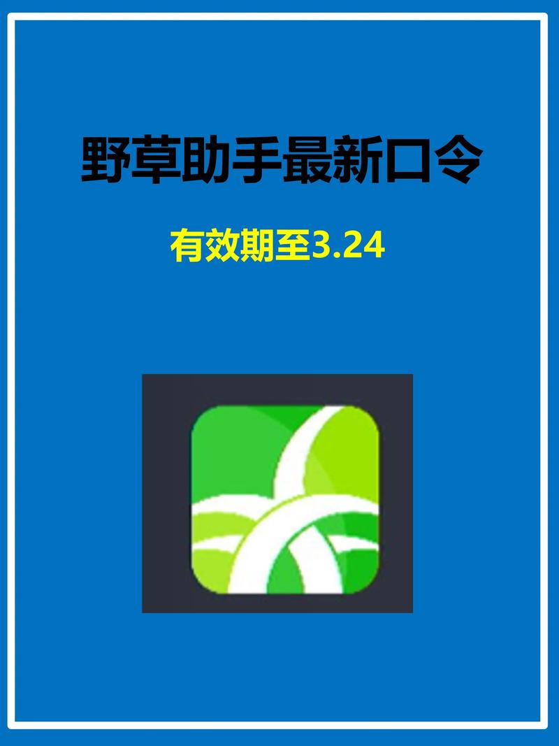 老婆骚影院的相关介绍