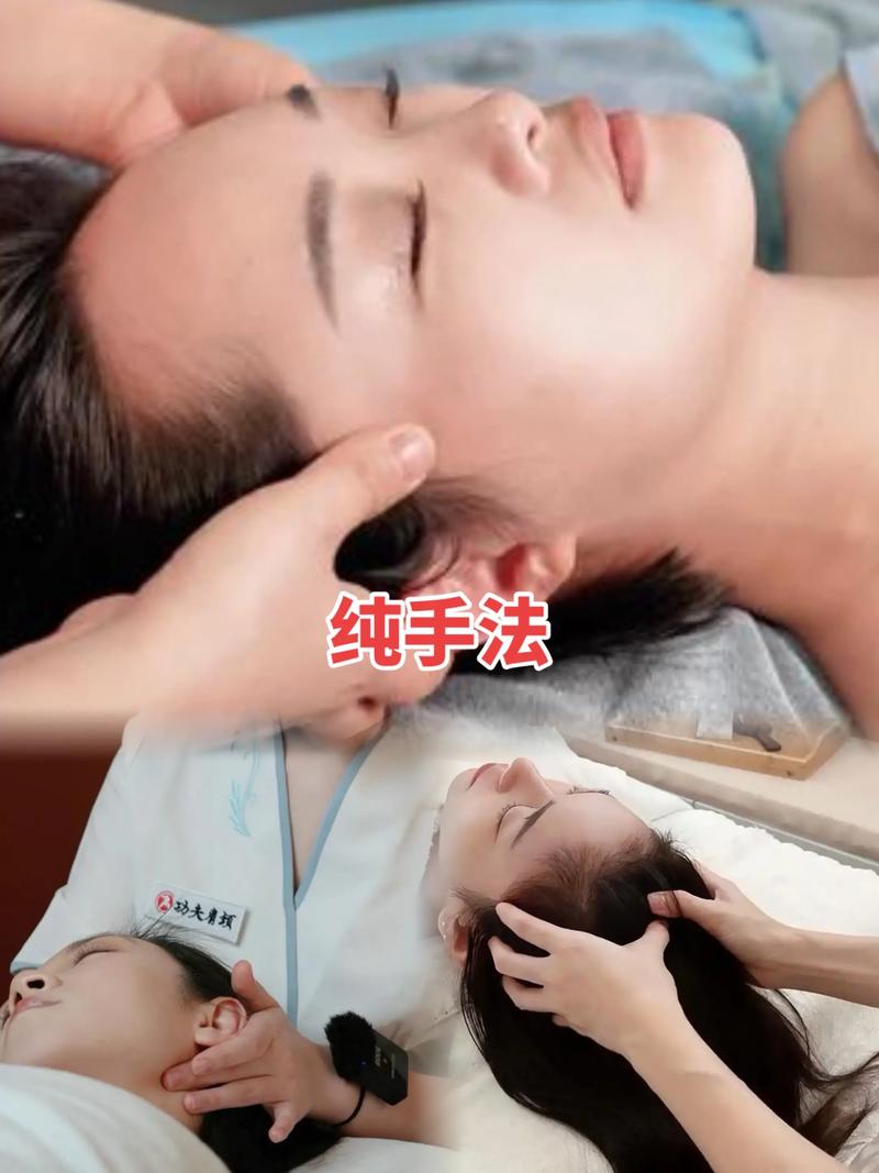 未提供的相关介绍
