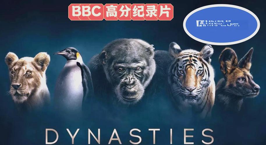 中国熟妇xxxx18的相关介绍