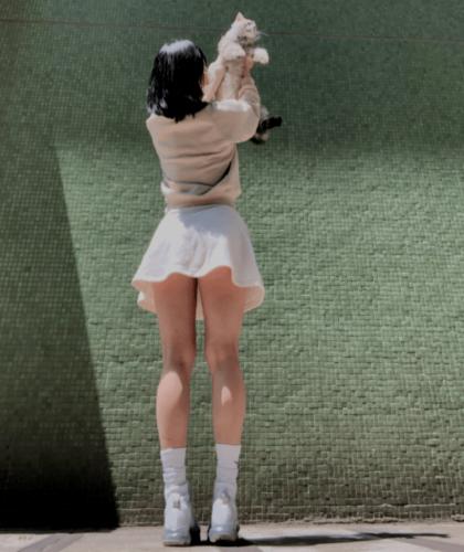 人妻少妇免费播放的相关介绍