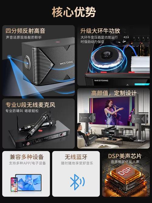 久久久久久国内精品的相关介绍