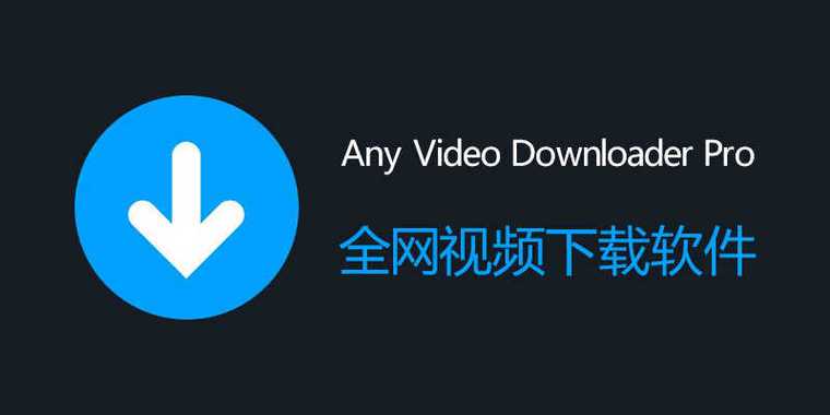 嗯啊不要啊啊啊调教高h的相关介绍