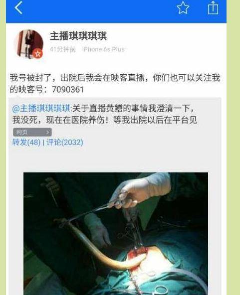 精品18禁在线的相关介绍
