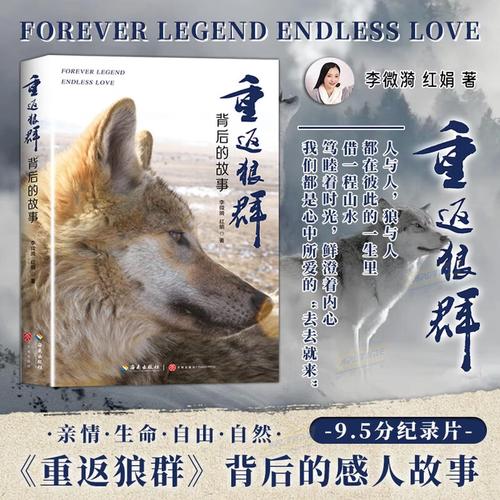 18禁黄在线网站的相关介绍