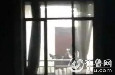 白丝av网址大全的相关介绍