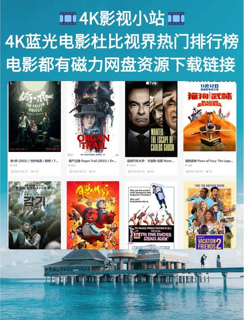 人妻少妇大乳中文在线的相关介绍