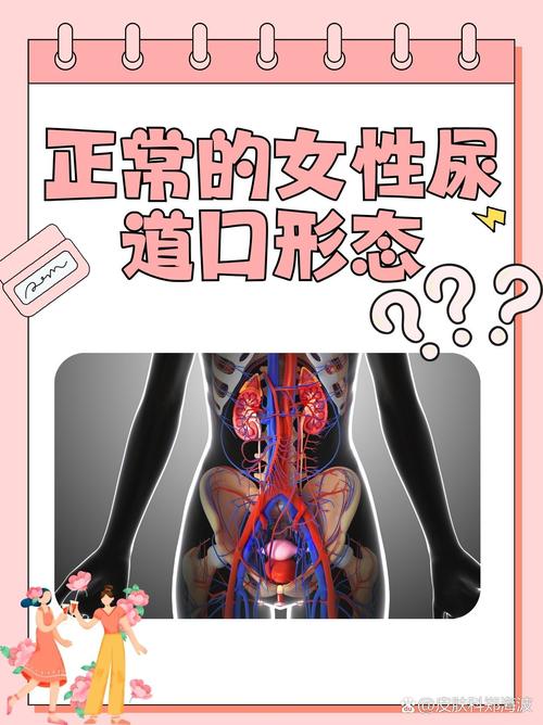 中出巨乳熟女的相关介绍