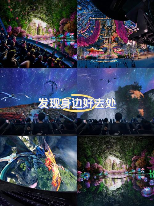免费看视频软件app下载的相关介绍